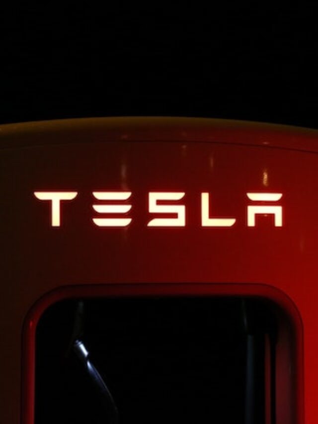tesla car locked his owner